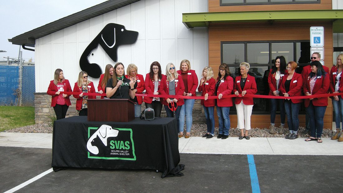 Project completed at Souris Valley Animal Shelter News, Sports, Jobs